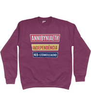 Load image into Gallery viewer, Annibyniaeth Independencia - Crys chwys