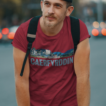 Load image into Gallery viewer, CAERFYRDDIN - Crys-T