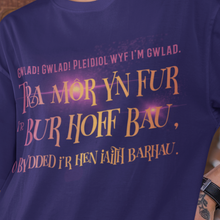 Load image into Gallery viewer, Gwlad Gwlad 2023 - Crys-T