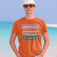 Load image into Gallery viewer, Annibyniaeth Independencia - Crys-T