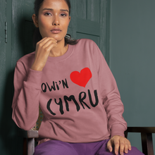 Load image into Gallery viewer, Dwi'n Caru Cymru - Crys chwys