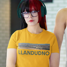 Load image into Gallery viewer, LLANDUDNO - Crys-T