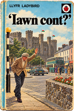 Load image into Gallery viewer, Iawn Cont? Clawr Ladybird - Crys-T