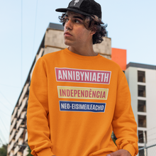Load image into Gallery viewer, Annibyniaeth Independencia - Crys chwys