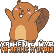 Load image into Gallery viewer, AFANC - Crys-T
