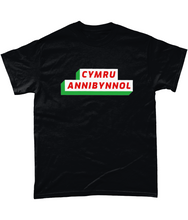 Load image into Gallery viewer, CYMRU ANNIBYNNOL - Crys-T