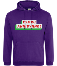 Load image into Gallery viewer, CYMRU ANNIBYNNOL - Hwdi