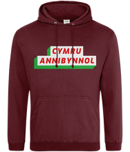 Load image into Gallery viewer, CYMRU ANNIBYNNOL - Hwdi