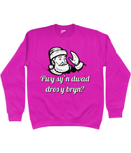 Load image into Gallery viewer, Pwy sy'n dwad dros y bryn? Crys chwys i blant