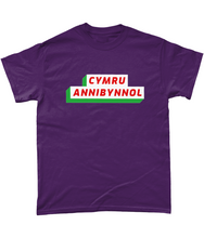 Load image into Gallery viewer, CYMRU ANNIBYNNOL - Crys-T