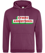 Load image into Gallery viewer, CYMRU ANNIBYNNOL - Hwdi