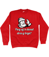 Load image into Gallery viewer, Pwy sy'n dwad dros y bryn? Crys chwys i blant