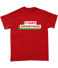 Load image into Gallery viewer, CYMRU ANNIBYNNOL - Crys-T