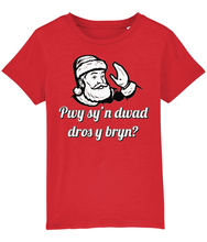 Load image into Gallery viewer, Pwy sy'n dwad dros y bryn? Crys-T i blant