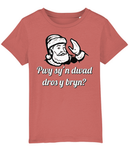 Load image into Gallery viewer, Pwy sy'n dwad dros y bryn? Crys-T i blant