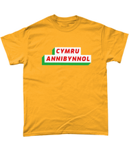 Load image into Gallery viewer, CYMRU ANNIBYNNOL - Crys-T