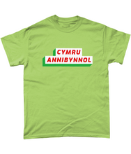 Load image into Gallery viewer, CYMRU ANNIBYNNOL - Crys-T