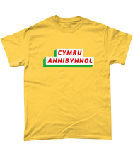 Load image into Gallery viewer, CYMRU ANNIBYNNOL - Crys-T