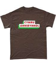 Load image into Gallery viewer, CYMRU ANNIBYNNOL - Crys-T