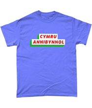 Load image into Gallery viewer, CYMRU ANNIBYNNOL - Crys-T