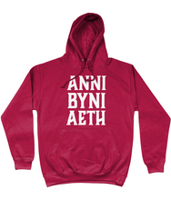Load image into Gallery viewer, ANNI BYNI AETH - Hwdi
