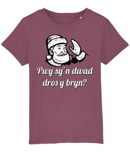 Load image into Gallery viewer, Pwy sy'n dwad dros y bryn? Crys-T i blant