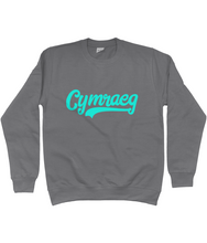 Load image into Gallery viewer, Cymraeg - Glas - Crys chwys
