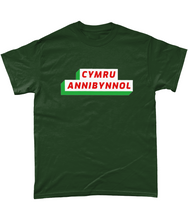 Load image into Gallery viewer, CYMRU ANNIBYNNOL - Crys-T