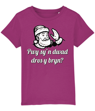 Load image into Gallery viewer, Pwy sy'n dwad dros y bryn? Crys-T i blant