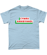 Load image into Gallery viewer, CYMRU ANNIBYNNOL - Crys-T