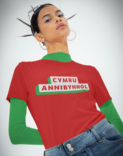 Load image into Gallery viewer, CYMRU ANNIBYNNOL - Crys-T