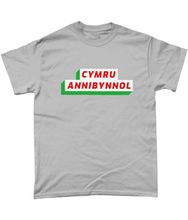 Load image into Gallery viewer, CYMRU ANNIBYNNOL - Crys-T