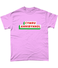 Load image into Gallery viewer, CYMRU ANNIBYNNOL - Crys-T