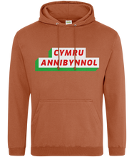 Load image into Gallery viewer, CYMRU ANNIBYNNOL - Hwdi
