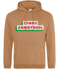Load image into Gallery viewer, CYMRU ANNIBYNNOL - Hwdi