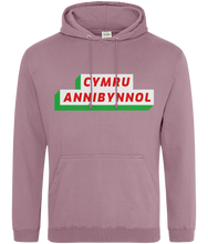 Load image into Gallery viewer, CYMRU ANNIBYNNOL - Hwdi