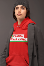 Load image into Gallery viewer, CYMRU ANNIBYNNOL - Hwdi