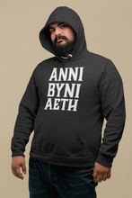 Load image into Gallery viewer, ANNI BYNI AETH - Hwdi