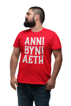 Load image into Gallery viewer, ANNI BYNI AETH - Crys-T