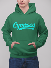 Load image into Gallery viewer, Cymraeg - Glas  - Hwdi