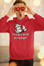 Load image into Gallery viewer, Pwy sy'n dwad dros y bryn? Hwdi